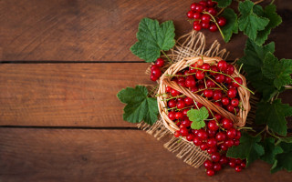 Berry basket green leaves wooden - red berry free wallpaper
