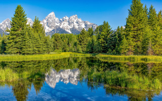 Mountain range reflection lake nature 2 - tree and grass free wallpaper for desktop