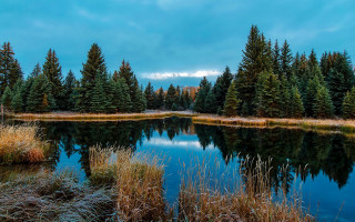 Lake pine trees grass blue - a lake free wallpaper for desktop