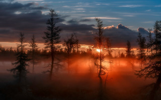 Sunset trees fog misty clouds - a sunset in the distance free wallpaper for desktop