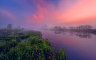 Pink sky river green bushes - the bank free wallpaper