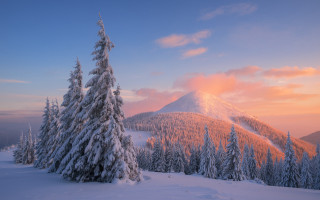 Snowy mountain trees pink sky 2 - a pink sky in the background free wallpaper
