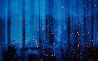 Window rain drops black cat - particle free wallpaper