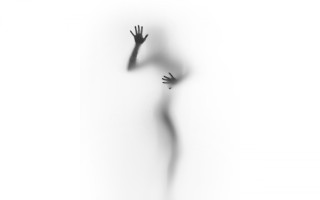 Shadow reach bird liminal monochrome - liminal space free wallpaper