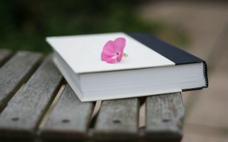 Pink flower on book outdoor - book cover free wallpaper