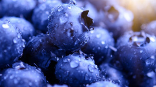 Blueberries waterdroplets yellowbackground macrophotography bubbles - berry free wallpaper