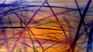 Blurry grass sunset abstract painting - edward dugmore free wallpaper