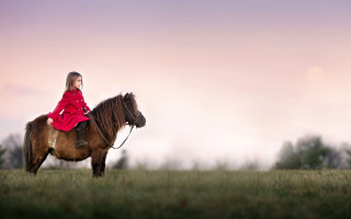 Woman red coat horse field - a horse in a field free wallpaper