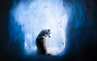 Wolf icecave light fantasy airbrush - face and head free wallpaper
