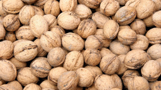 Nuts brown spots brown background - a brown stripe free wallpaper