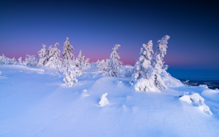 Snowy dusk pink sky blue - a pink sky in the background free wallpaper