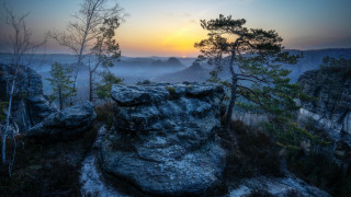 Sunset rocky cliff trees fog - a sunset over a rocky cliff free wallpaper