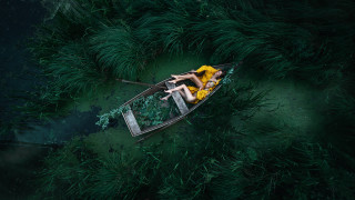Woman yellow dress boat green - elsa bleda free wallpaper