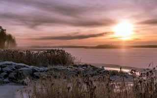 Sunset lake snow shore trees 2 - a few bush free wallpaper