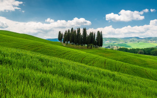 Green field trees blue sky 7 - correggio free wallpaper