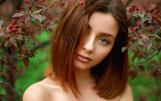 Woman blue eyes brown hair - red berry free wallpaper