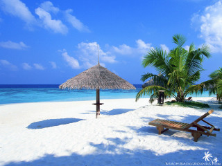 Beach thatched umbrella bench sand - beach free wallpaper