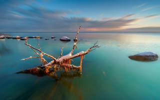 Impressionist tree water rocks sky - boleslaw cybi free wallpaper for desktop