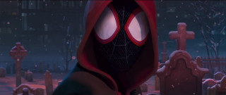 Spider man hooded graveyard night - a spider free wallpaper