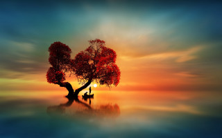 Tree man sunset mystical colors - arthur pan free wallpaper for desktop