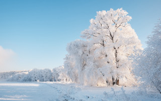Snowy landscape tree path winter - german romanticism free wallpaper