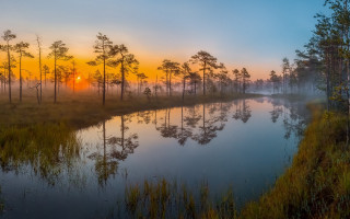 River trees foggy sunset autumn - tall grass and trees free wallpaper