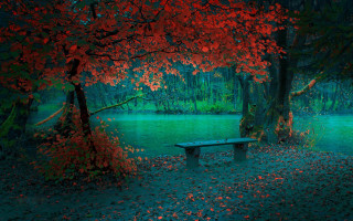 Forest lake red leaves magic - rich moody colour free wallpaper