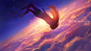 Bird sky clouds sunset cityscape - a bright sun free wallpaper