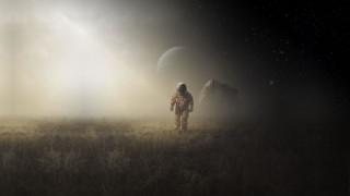 Man field dog aurora moon - filip hodas free wallpaper