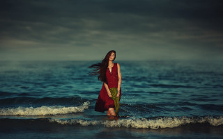 Woman red dress ocean plant - a dark sky in the background free wallpaper