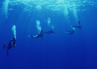 Scuba divers swimming ocean group - incoherent free wallpaper