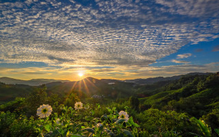 Sunset mountains flowers clouds crepuscular - a beautiful sunset over a mountain range free wallpaper