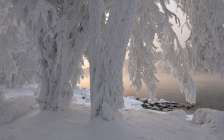 Snowy trees water boat mountain - a body of water free wallpaper