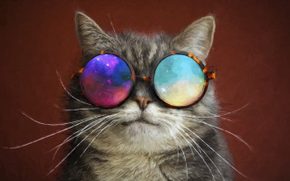 Cat sunglasses psychedelic reflection red - a red background behind free wallpaper