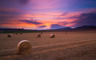 Sunset hayfield colorful sky clouds - a colorful sky in the background free wallpaper
