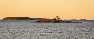Small island lone tree sunset - bruno liljefors free wallpaper