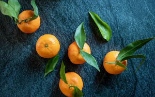 Oranges leaves blue surface constellation - a green leaf free wallpaper