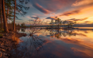 Lake trees sunset clouds magic - water and trees free wallpaper