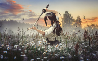 Woman sword field sunset clouds - atey ghailan free wallpaper