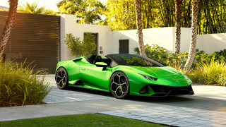 Green sports car house palm - a white fence free wallpaper