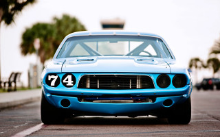 Blue mustang parking lot palm - ed roth free wallpaper