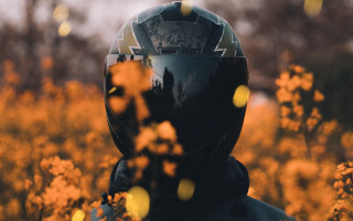 Helmet flower field autumn blurry - artur grottger free wallpaper for desktop