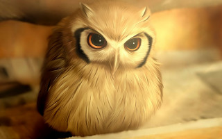 Bird big eyes blurry background - ultra realistic digital art free wallpaper