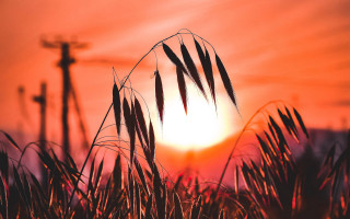 Sunset cross grass ceremony bernd - a red sky free wallpaper for desktop