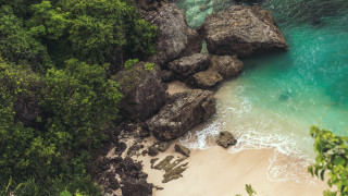 Beach rock formation water trees 3 - allan brooks free wallpaper