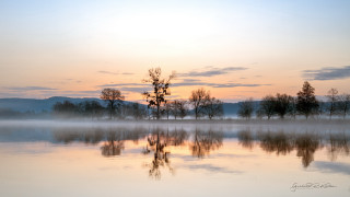 Lake foggy sky trees sunset - foggy free wallpaper