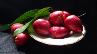 Red apples white plate green - a white plate free wallpaper