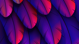 Purple red feathers red circle - a red circle in the middle free wallpaper