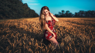 Woman red dress wheat field 3 - a field of wheat free wallpaper