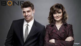 Man woman suit tie posing - their arm free wallpaper